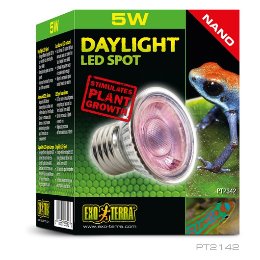 LED 스팟 나노 램프 5W