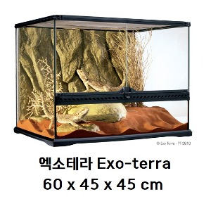 [EXO TERRA] 엑소테라 글라스 테라리움 60×45×45cm